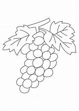 Raisin Automne Demandez Doigts Raisins Decorer Melon 10doigts Legumes Grappe sketch template
