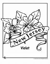 Jersey Flower Coloring State Pages Ohio Iowa Flowers Usa Cliparts Getcolorings Clip Jr Printables Printable Newjersey Brutus sketch template
