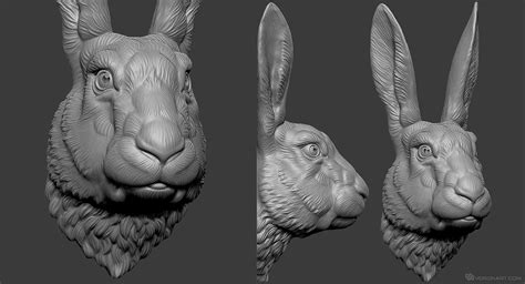 hare rabbit head  model   printing digital sculpting  voronart