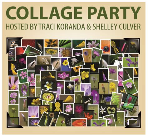 collage party hosted  traci koranda  shelley culver whatcomtalk