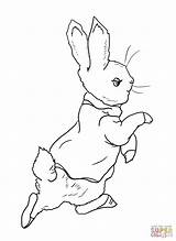 Rabbit Peter Coloring Pages Printable Drawing Mr Garden Color Mcgregor Potter Beatrix Roger Colour Supercoloring Away Going Into Colouring Bunny sketch template