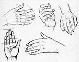 Drawing Hands Reference Draw Hand Female Step Sheets Womens Practice These Human Tutorials sketch template