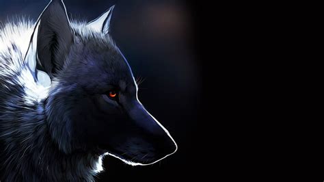 black wolf     black wolf     black wolf wallpapers