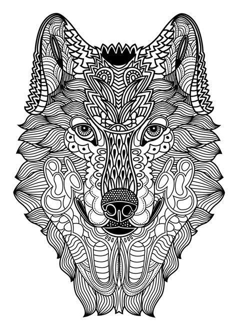 wild animal coloring pages  adults  children   early