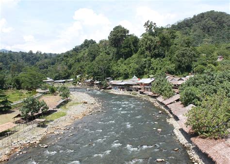 visit bukit lawang   trip  indonesia audley travel