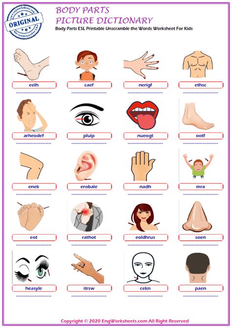 body parts printable english esl vocabulary worksheets  engworksheets