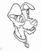 Disney Tramp Coloring Pages Walt Fanpop Characters sketch template