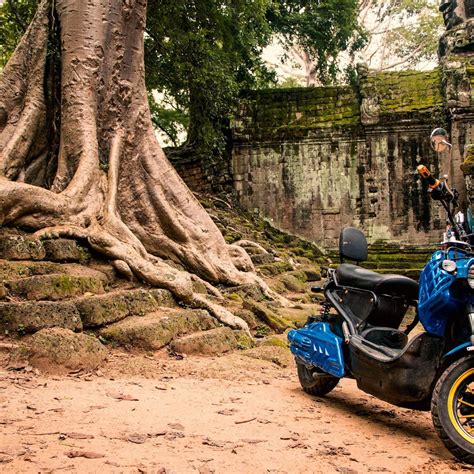 blu  bike service blue electric bike rental service  committed  keeping cambodia  clean