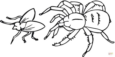 fills  cup charlottes web  printable coloring pages