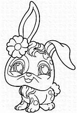 Coloriage Lapin Littlest Imprimer Petshop Mignon Trop Bunny Animaux Luxueux Bestappsforkids Stumble sketch template