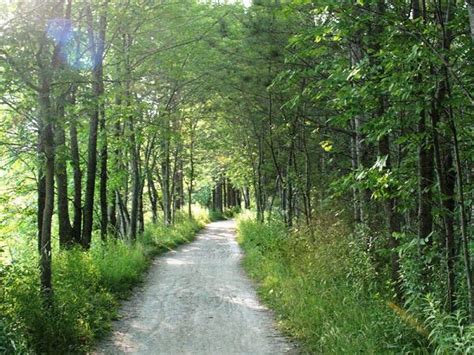 oak ridges trail association east gwillimbury north nokiidaa trail green lane