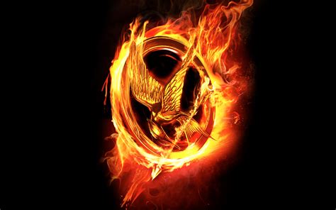 hunger games  poster  wallpapers