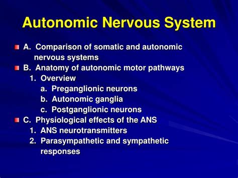 autonomic nervous system powerpoint