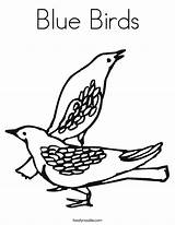 Coloring Birds Blue Pigeon Nest Twistynoodle Est Bleu Print Built California Usa Noodle Favorites Login Add Ll 89kb sketch template