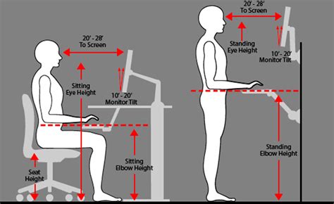 ergonomics and posture for computer users avadirect