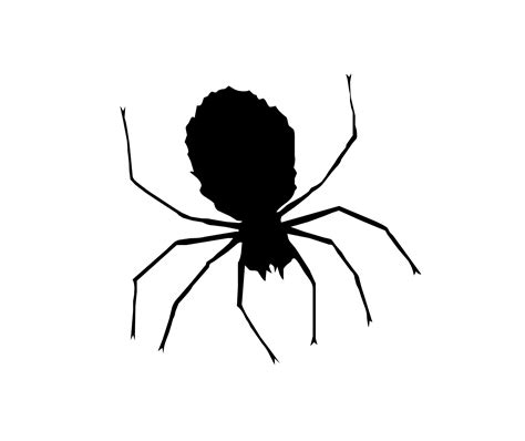 small spider clipart   cliparts  images  clipground