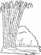 Bamboo Printable sketch template