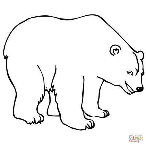 polar bear coloring page  printable coloring pages