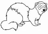 Ferret Cute Smiling Footed sketch template