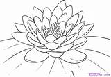Lotus Flower Coloring Pages sketch template