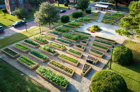 urban farm  enston home  green heart project