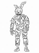 Coloring Pages Springtrap Animatronics Printable Color sketch template