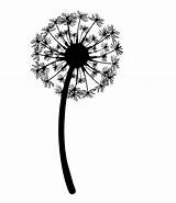 Dandelion Drawing Blowing Dandelions Flower Tattoo Clipart Silhouette Puff Outline Wind Flowers Graphics Template Getdrawings Designs Clip Cartoon Tattoos Clipartmag sketch template