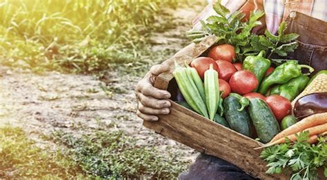 health benefits  raw vegetables