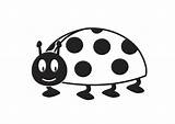 Ladybug Coloring Printable Pages sketch template