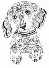 Pages Dachshund Coloring Printable Doodles Sheets Dog Mandalas Color Zentangles Tattoo Animal Painting Drawing Book sketch template
