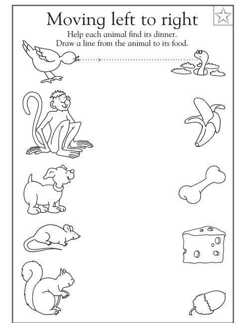 printable animal worksheet  kids printable preschool