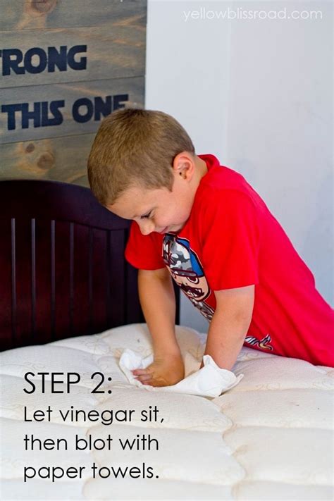 natural mattress cleaner  remove urine stains odors