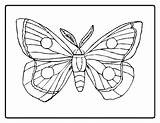 Coloring Caterpillar Butterfly Pages Hungry Carle Eric Very Printable Color Drawing Simple Cocoon Kids Clipart Sheet Flower Book Sheets Drawings sketch template