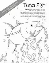 Coloring Tuna Fish Getcolorings 1275 36kb sketch template