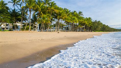 hotels closest  palm cove beach  updated prices expedia