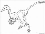 Troodon Dinosaur Pages Coloring Online Color Printable Coloringpagesonly sketch template
