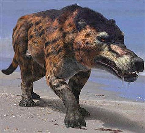 andrewsarchus  worlds largest predatory mammal