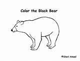 Bear Pages Coloring Louisiana Color American Printable Getcolorings Popular sketch template