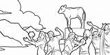 Calf Moses Idols Israelites Worshipping Jw Gouden Kalf Colouring Kids Biblia sketch template