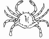 Crab Kraby Raki Krabbe Granchi Kolorowanki Granchio Kolorowanka Impressionante sketch template