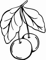 Cherry Coloring Pages Printable Categories Clipart sketch template