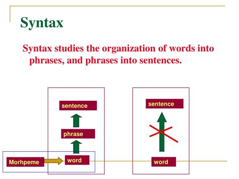 introduction  linguistics chapter  syntax powerpoint  id