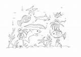 Ocean Coloring Pages Kids Animals Printable Animal Sheets Activities Nature Printables Kid sketch template