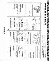 Mass Catholic Parts Coloring Printables Kids Booklet Worksheet Children Commandments Worksheets Pages Eucharist Religion Holy Sheets Ccd Education Bible Downloadables sketch template