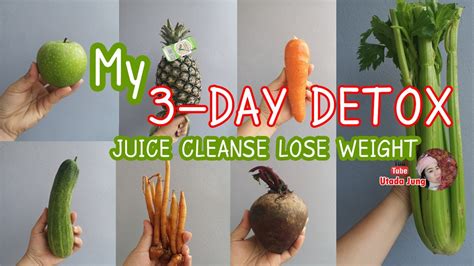 3 Day Detox Juice Cleanse Lose Weight กินน้ำผักแทนข้าว 3 วัน มาดูกัน