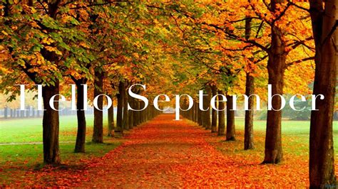 september word  colorful autumn fall trees background hd