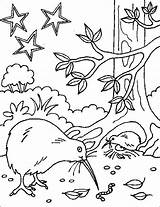 Maori Coloriage Waitangi Aotearoa Uccelli Drapeau Autour Kiwiana Kiwi Espagne Adults Getdrawings Bocetos sketch template