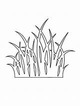 Grass Outline Coloring Pages Color sketch template
