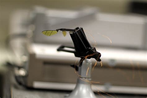 ny times  military admits   spy drones  small  bugs alternative