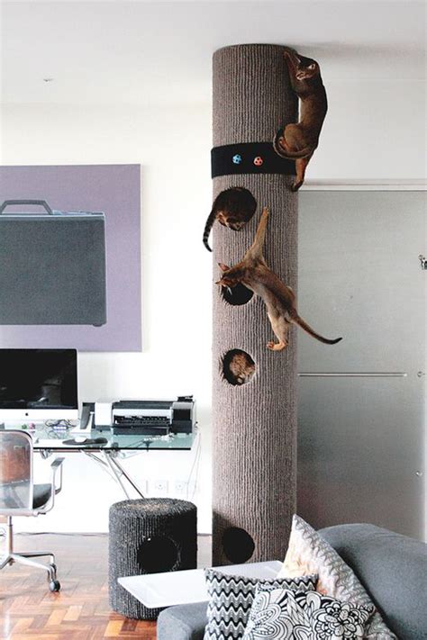 awesome indoor cat tree ideas homemydesign